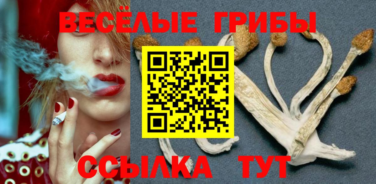 Псилоцибиновые грибы прущие грибы Бахчисарай